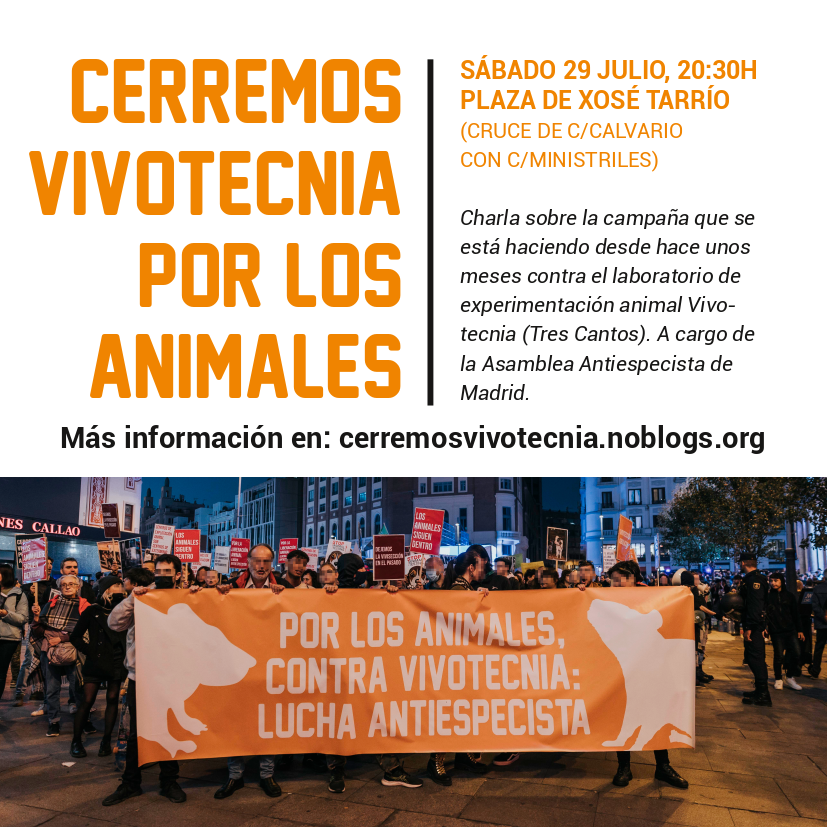 Cartel de la charla. Incluye una foto de la manifestación del 5N antiespecista contra Vivotecnia (Madrid) y la info sobre la convocatoria.